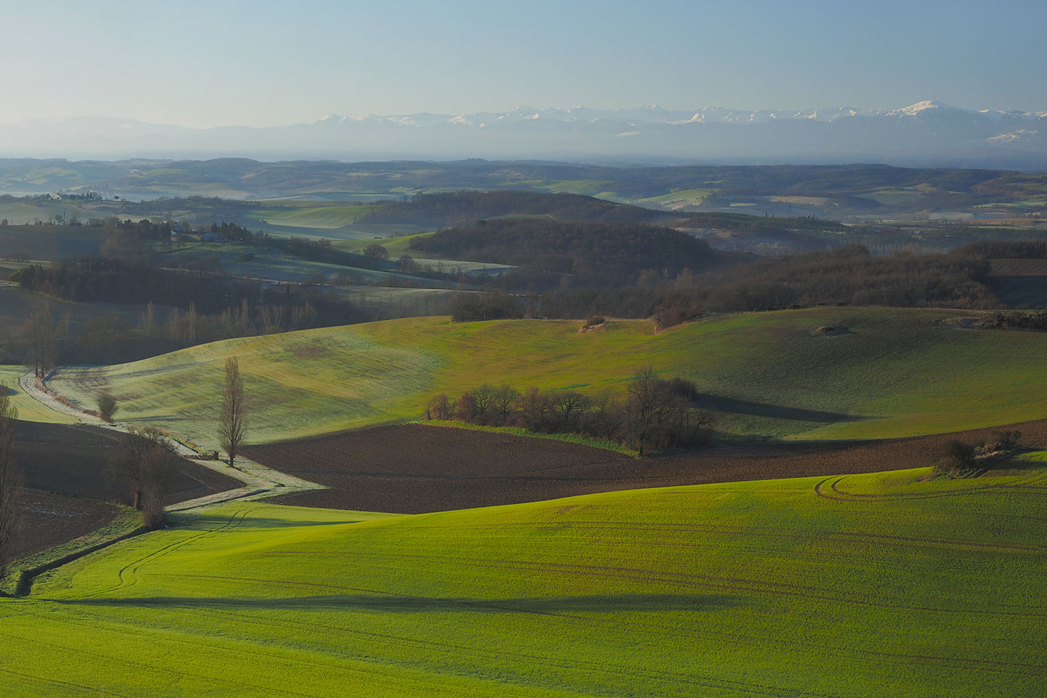 les collines du Lauragais / Rolling hills of the Lauragais