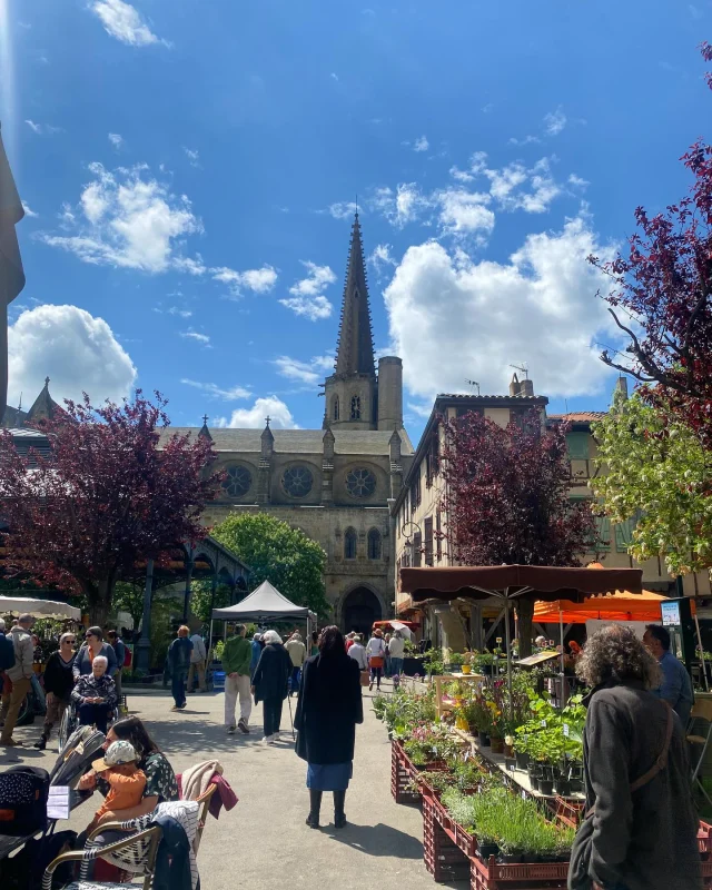 Mirepoix flower market- 08th May 2025 #mirepoix #mirepoixariege #ariege #ariegepyrenees #frenchlifestyle #frenchlife🇫🇷 #southoffrance🇫🇷☀️🍷 #occitanietourisme